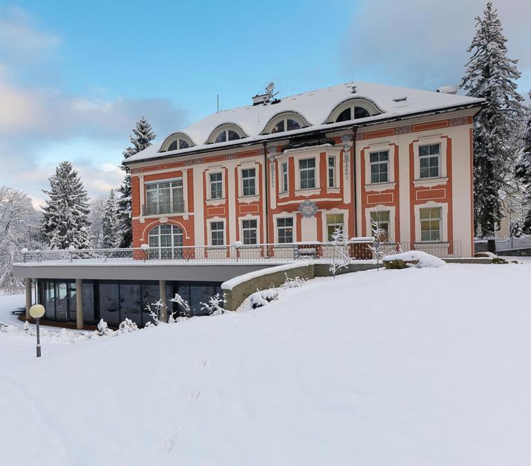 Wellness & Spa Hotel Villa Regenhart Есеник Экстерьер фото